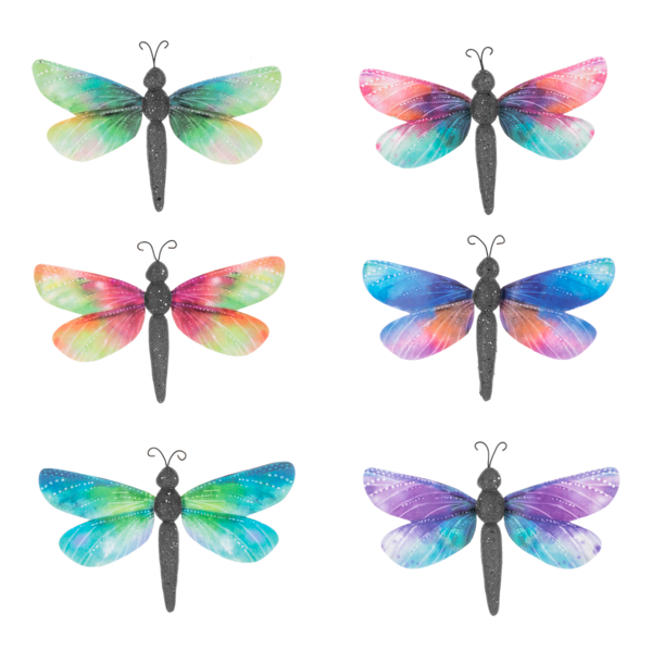 Dragonfly Magnets