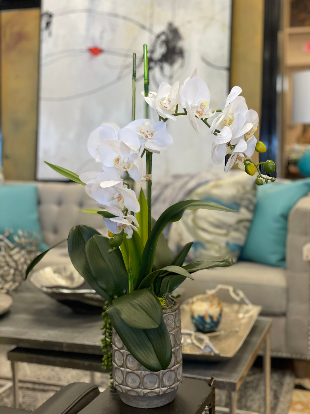 White orchid & succulent