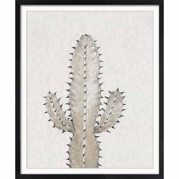 Cactus Study I Art 34