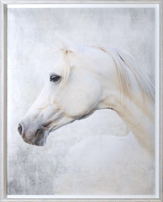 White Arabian Artwork  38x42