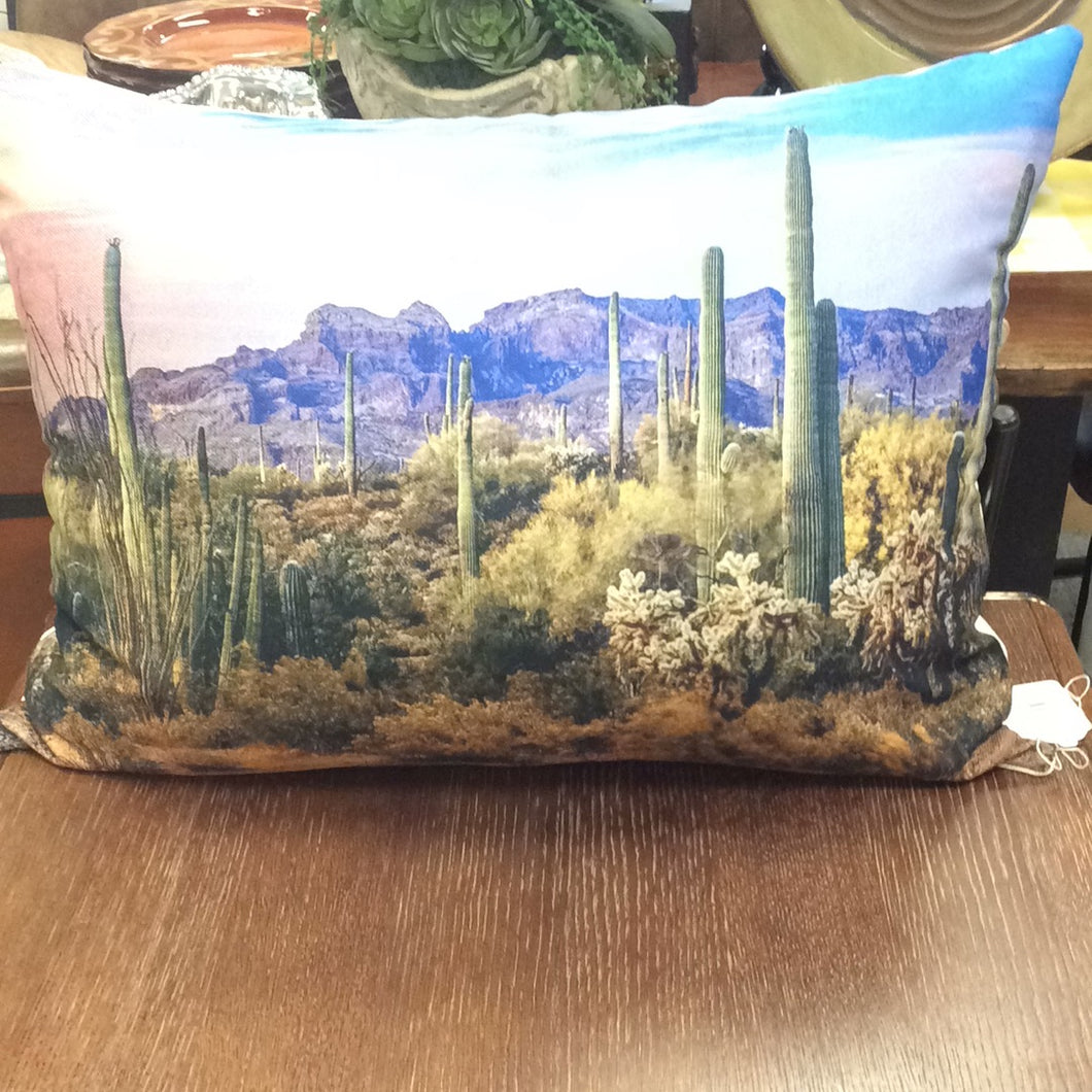 Throw pillow - AZ Desert Landscape