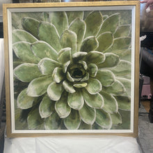 Load image into Gallery viewer, Succulent verde
