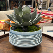 Load image into Gallery viewer, Custom Succulent in Stacked Ring Blue Bowl 11&quot; x 6&quot;
