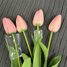 Load image into Gallery viewer, 26.75&quot; Pink Tulip Stem
