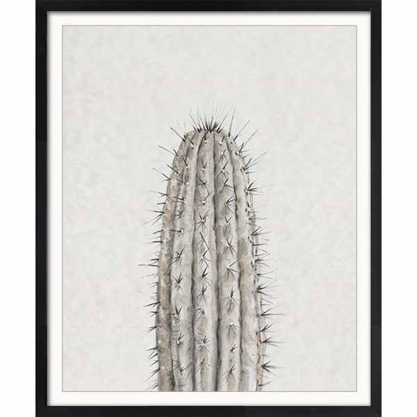 Cactus Study III Art 34