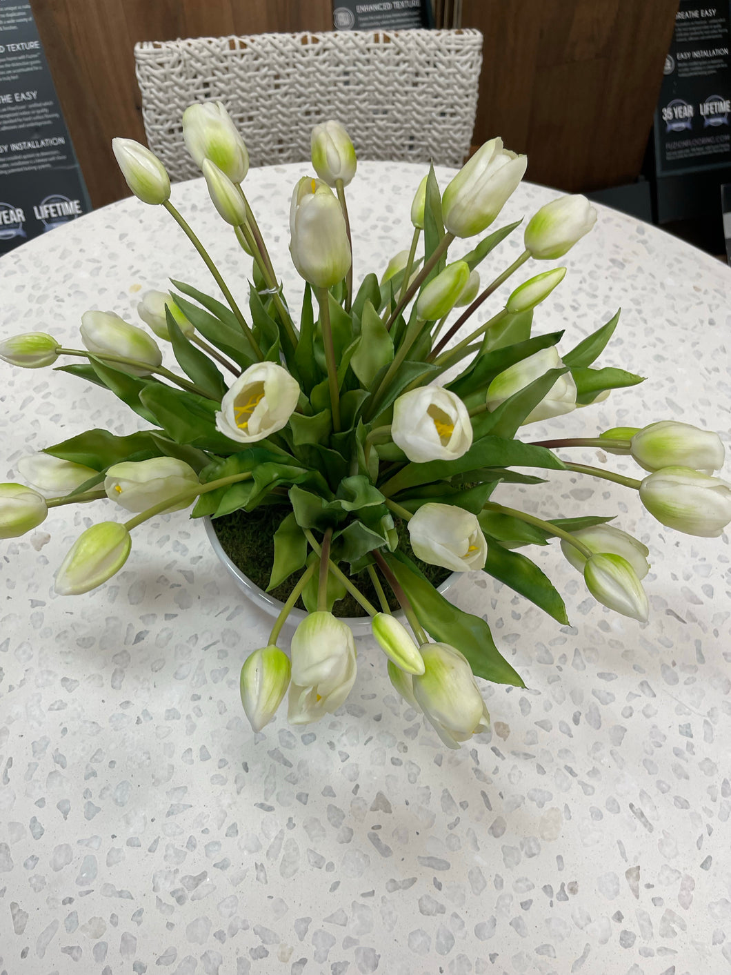 White Tulips in White Vase