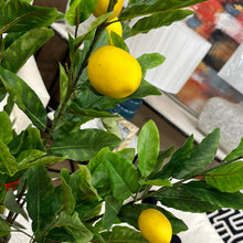 Load image into Gallery viewer, Faux Lemon Tree
