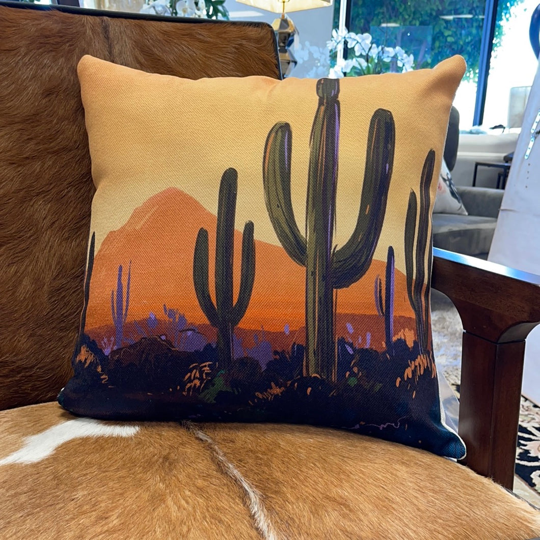 Arizona desert scene pillow 18”