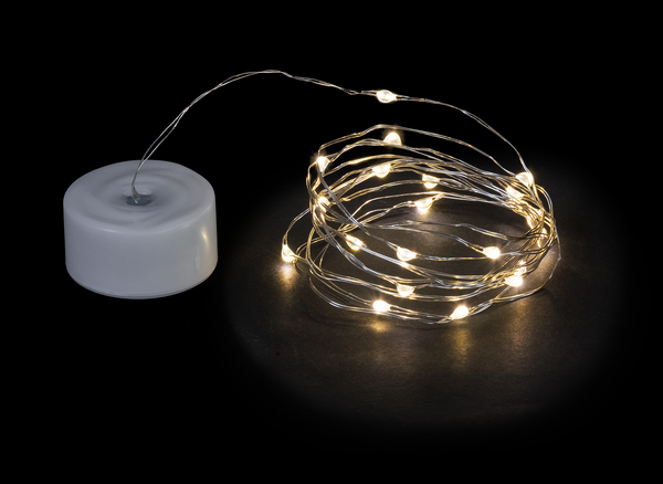 LED 6' String Lights