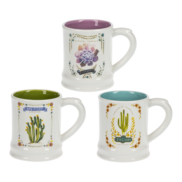 Ceramic Succulent Mug