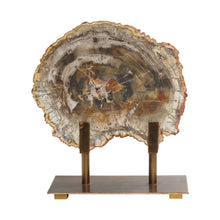 Load image into Gallery viewer, Petrified Wood Sculpture
