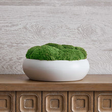 Load image into Gallery viewer, Gratia Moss Centerpiece
